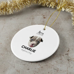 Pitbull Hub ™ Personalized Round Ceramic Ornaments