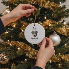 Pitbull Hub ™ Personalized Round Ceramic Ornaments