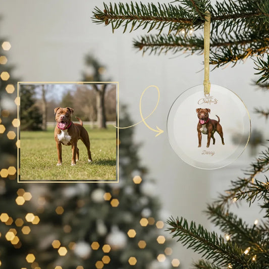 How to Create Personalized Gifts from Your Pitbull’s Photo – Super Easy and Stunning!