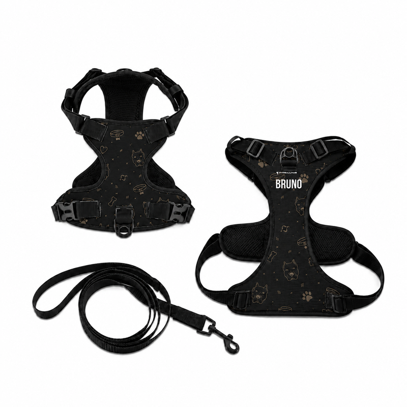 HARNESSES