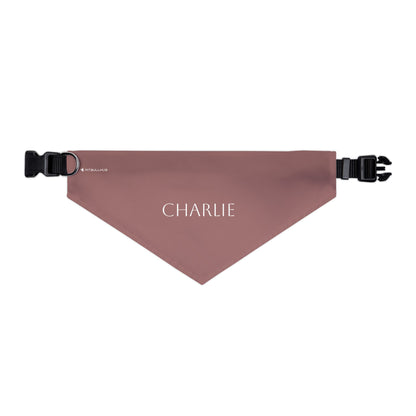 (TEST) Personalized Pet Bandana Collar - Custom Name Dog & Cat Accessory (Charlie)