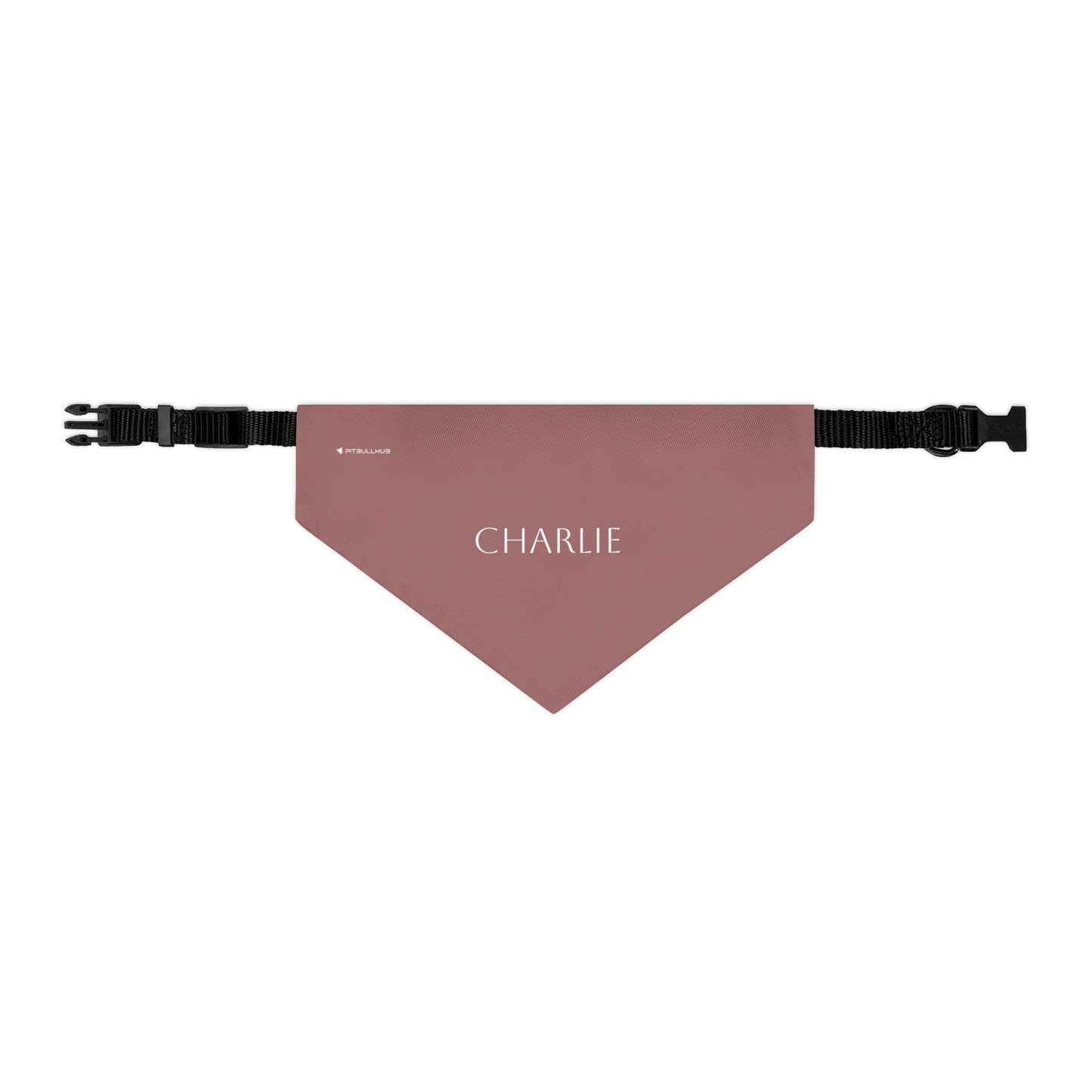 (TEST) Personalized Pet Bandana Collar - Custom Name Dog & Cat Accessory (Charlie)