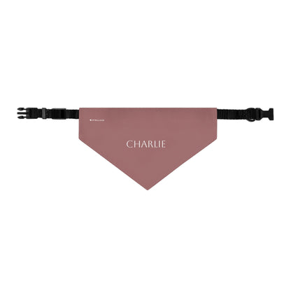 (TEST) Personalized Pet Bandana Collar - Custom Name Dog & Cat Accessory (Charlie)