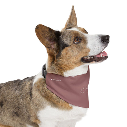 (TEST) Personalized Pet Bandana Collar - Custom Name Dog & Cat Accessory (Charlie)