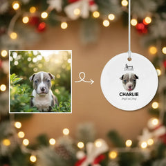 Pitbull Hub ™ Personalized Round Ceramic Ornaments