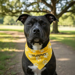 Pitbull Hub™ Personalized Paw Bandana Collar