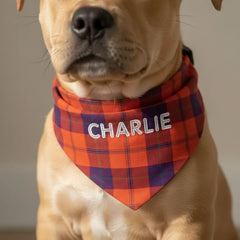 Pitbull Hub™ Personalized Plaid Bandana Collar