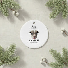 Pitbull Hub ™ Personalized Round Ceramic Ornaments
