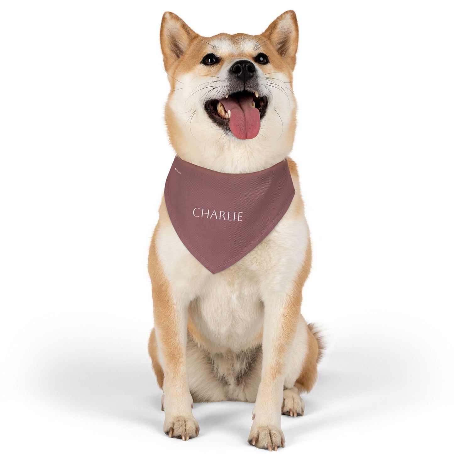 (TEST) Personalized Pet Bandana Collar - Custom Name Dog & Cat Accessory (Charlie)