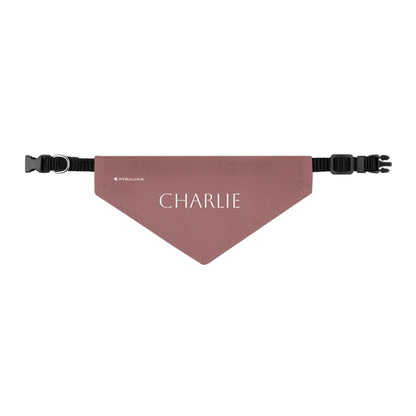(TEST) Personalized Pet Bandana Collar - Custom Name Dog & Cat Accessory (Charlie)