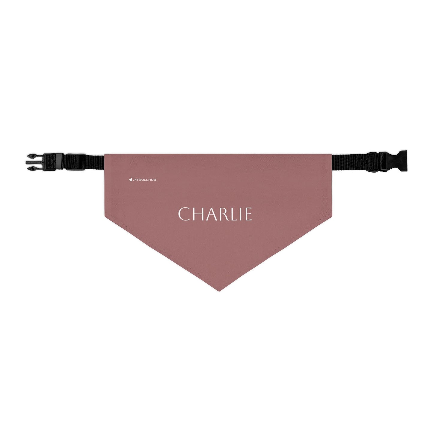 (TEST) Personalized Pet Bandana Collar - Custom Name Dog & Cat Accessory (Charlie)