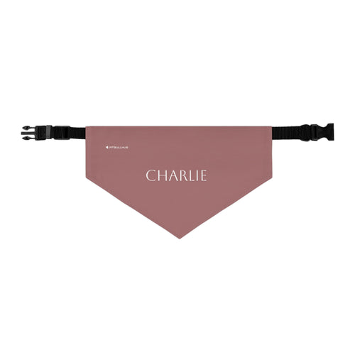 (TEST) Personalized Pet Bandana Collar - Custom Name Dog & Cat Accessory (Charlie)