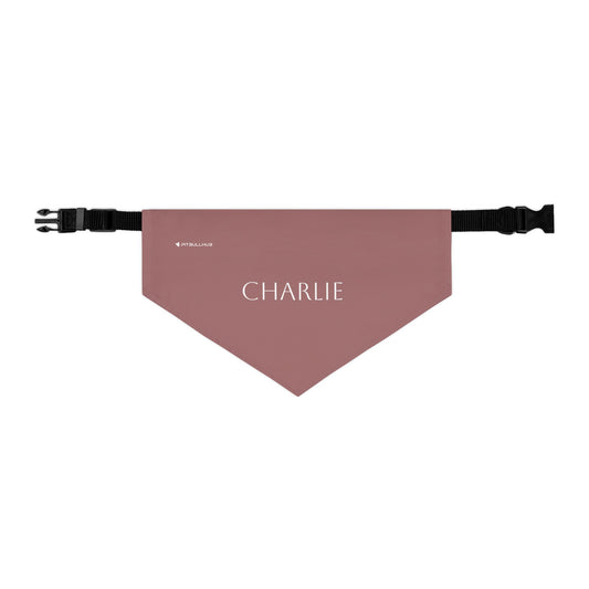 (TEST) Personalized Pet Bandana Collar - Custom Name Dog & Cat Accessory (Charlie)