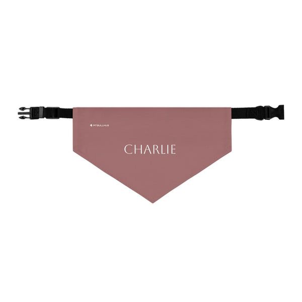 (TEST) Personalized Pet Bandana Collar - Custom Name Dog & Cat Accessory (Charlie)
