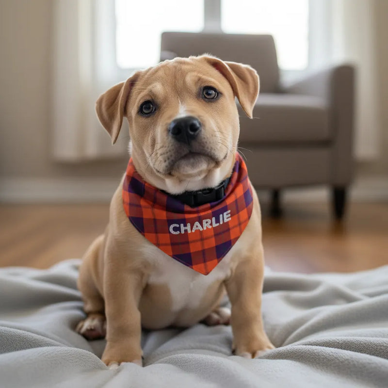 Pitbull Hub™ Personalized Plaid Bandana Collar