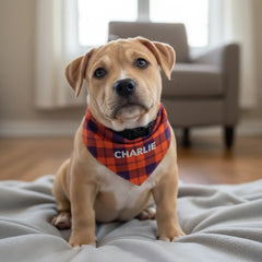 Pitbull Hub™ Personalized Plaid Bandana Collar